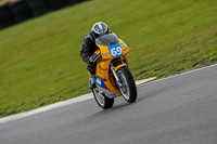 PJ-Motorsport-2019;anglesey-no-limits-trackday;anglesey-photographs;anglesey-trackday-photographs;enduro-digital-images;event-digital-images;eventdigitalimages;no-limits-trackdays;peter-wileman-photography;racing-digital-images;trac-mon;trackday-digital-images;trackday-photos;ty-croes